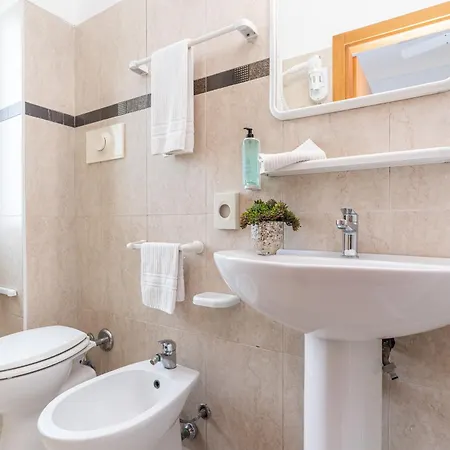 Amadei Figaro & 佩萨罗