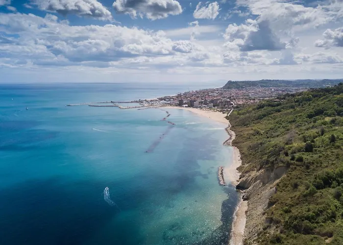 Amadei Figaro & Pesaro