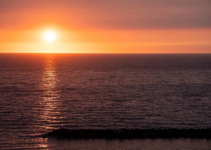 Amadei Figaro & Pesaro